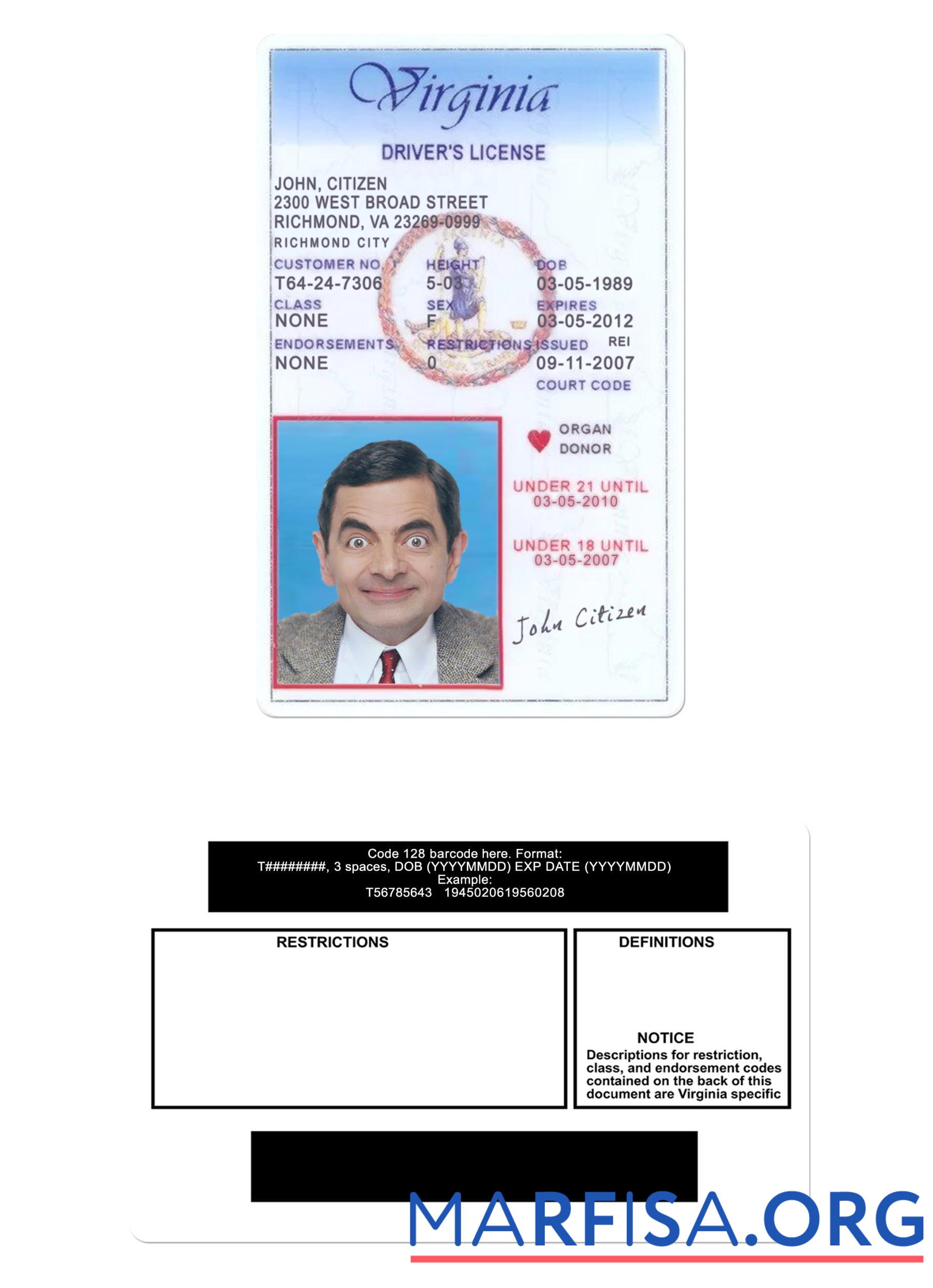 Realistic USA Virginia driving license under 21 template